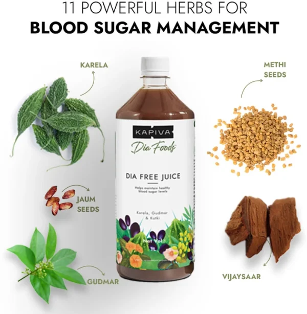 Dia Free Juice - Blood Sugar Management